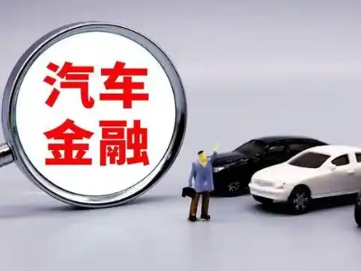 轮台押车贷款不是本人可以么?